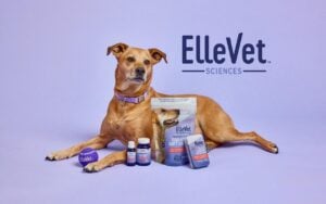 ElleVet Sciences Expands Executive Leadership Team