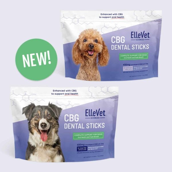 NEW ElleVet Hemp CBG Dental Sticks, large and small dog bags