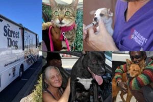 The Street Dog Coalition Receives RV From ElleVet Sciences in Support of One Health Mission