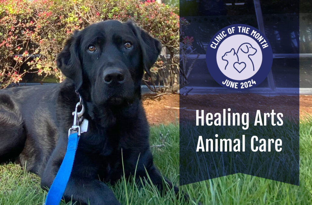pet of the month ellevet june