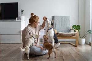 Can Dogs Eat Peanuts? 