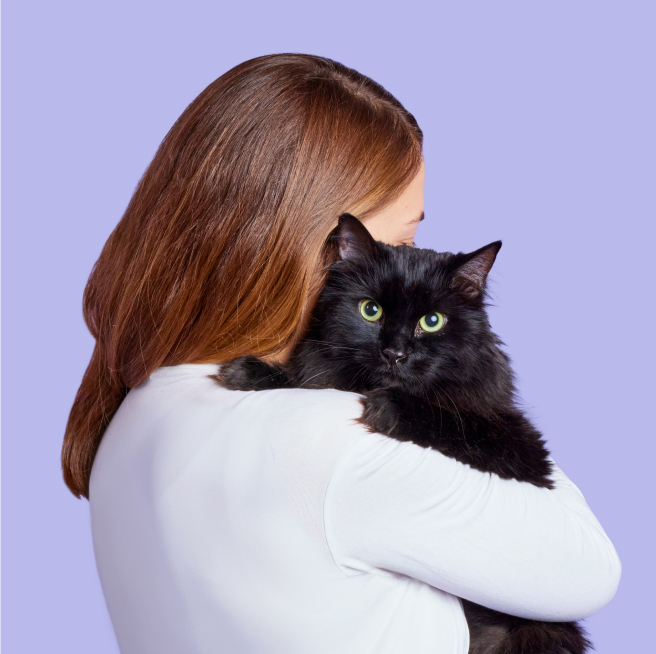 pet owner holding cat