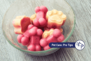 Cooling DIY Treats for Dogs