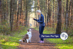 Seven basic commands every dog should know
