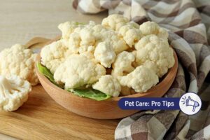 Can Dogs Eat Cauliflower?