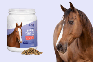 ElleVet Sciences Launches Breakthrough Equine Product