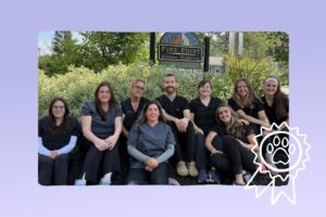 Pine Point Animal Hospital: ElleVet’s Clinic of the Quarter 