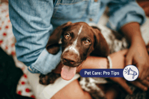 CPR for Dogs & Cats: What Pet Parents Should Know