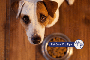 Chicken Allergy in Dogs: Your Complete Guide