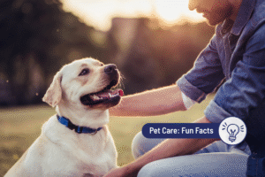 The Co-Evolution of Dogs & Humans 
