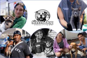Supporting pets in need this Giving Tuesday 