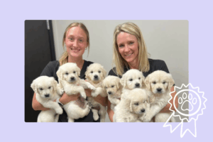 Ehlers Animal Care: ElleVet’s Clinic of the Quarter 