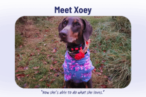 Pet Spotlight Sunday: Meet Xoey