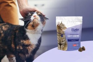 ElleVet Sciences Launches Feline Chews with CBD + CBDA