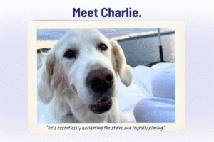 Pet Spotlight Sunday: Meet Charlie