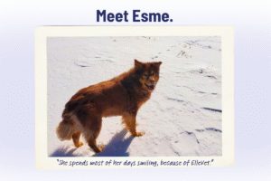 Pet Spotlight Sunday: Meet Esme