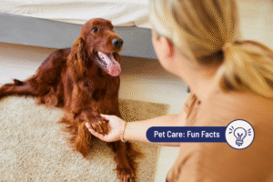 Why Do Dogs Push on You with Their Paws? 