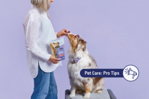 How Much CBD + CBDA Should I Give My Cat or Dog?