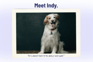 Senior Pet Spotlight: Meet Indy