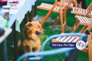Can Dogs Eat BBQ Food? What’s Safe to Share – and What to Avoid