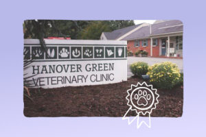 Hanover Green Veterinary Clinic: ElleVet’s Clinic of the Quarter 